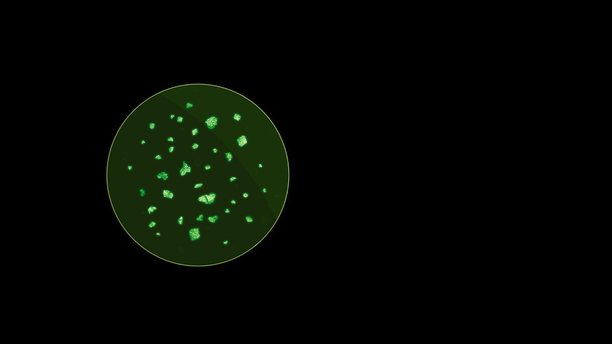 Microscope image of dust particles.